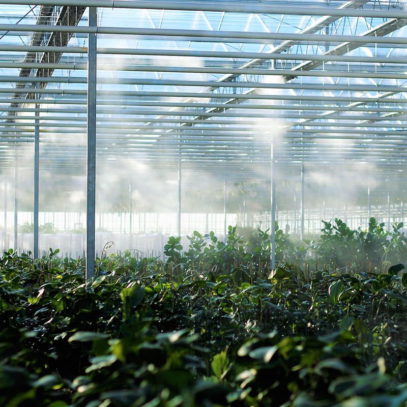 coltivazioni serra ricerca e innovazione